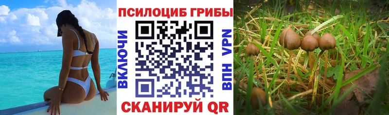 Псилоцибиновые грибы Magic Shrooms  Златоуст 